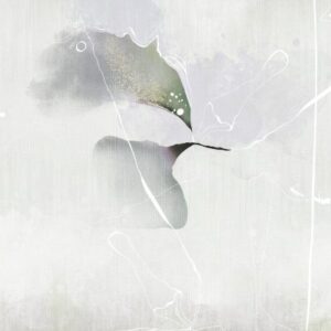 Colibri AP228 2 800x400 1
