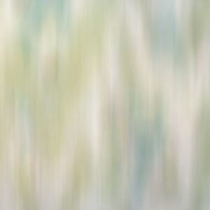 Streamy AP248 1 800x400 1